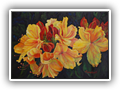 * Yellow Azalea Blossoms 12x16 oil galllery canvas